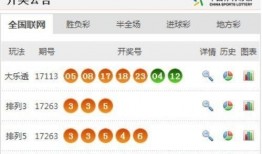 新澳体彩最新爆料今天开奖结果,惊喜连连，大奖花落谁家？”