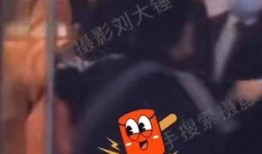 刘大锤爆料大全视频,揭秘娱乐圈幕后真相